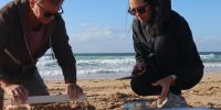Rotary club fossickers heartened by lack of microplastics at Corrimal Beach